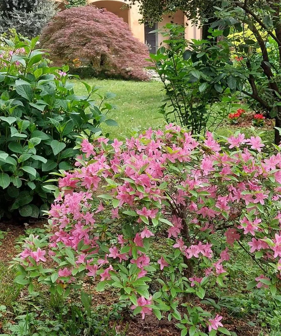 B&B Il Cortile Malpensa Casorate Sempione