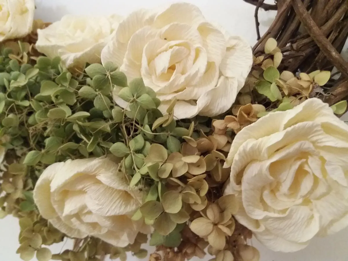 Bed & Breakfast B&B Il Cortile Malpensa Casorate Sempione